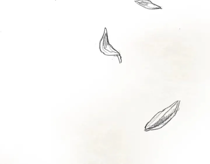 第354页
