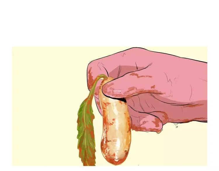 第195页