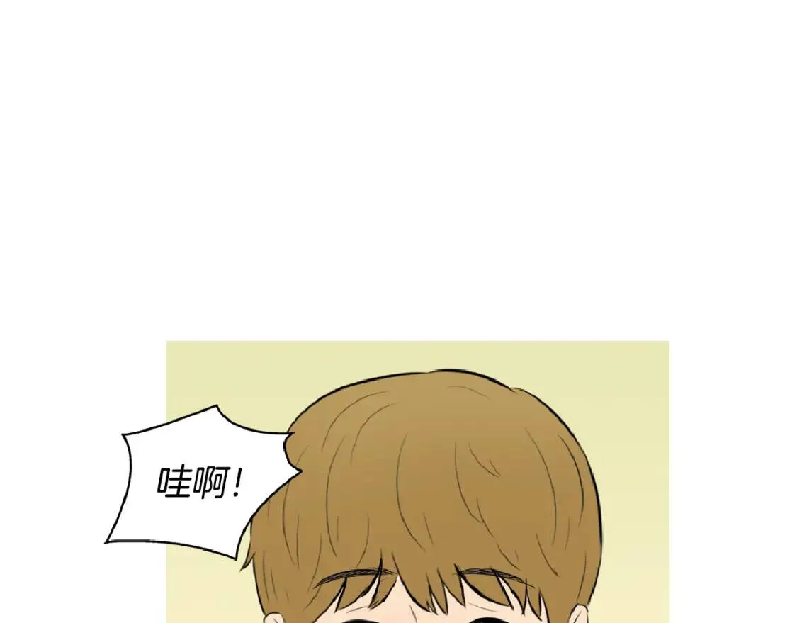 第321页