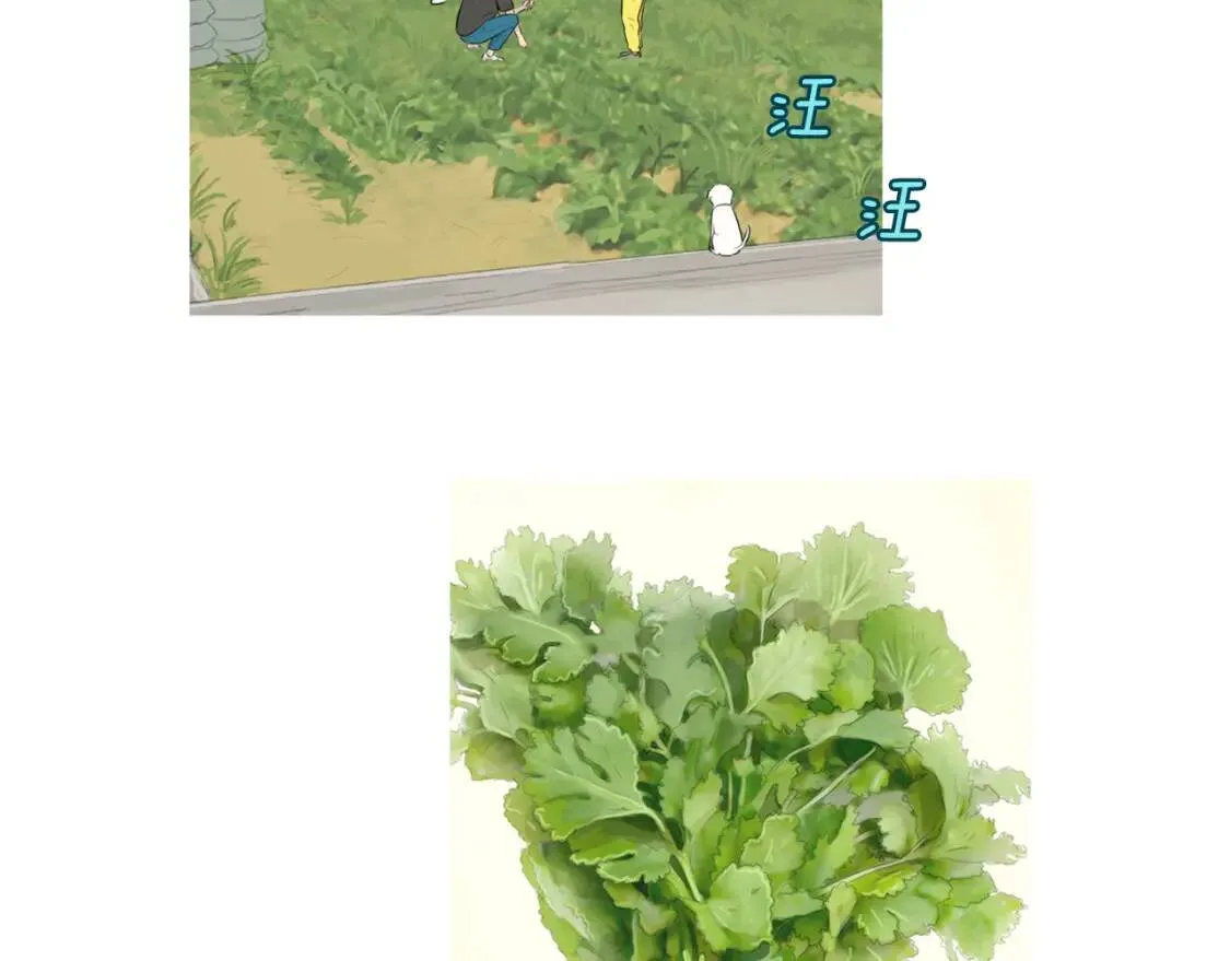 第231页