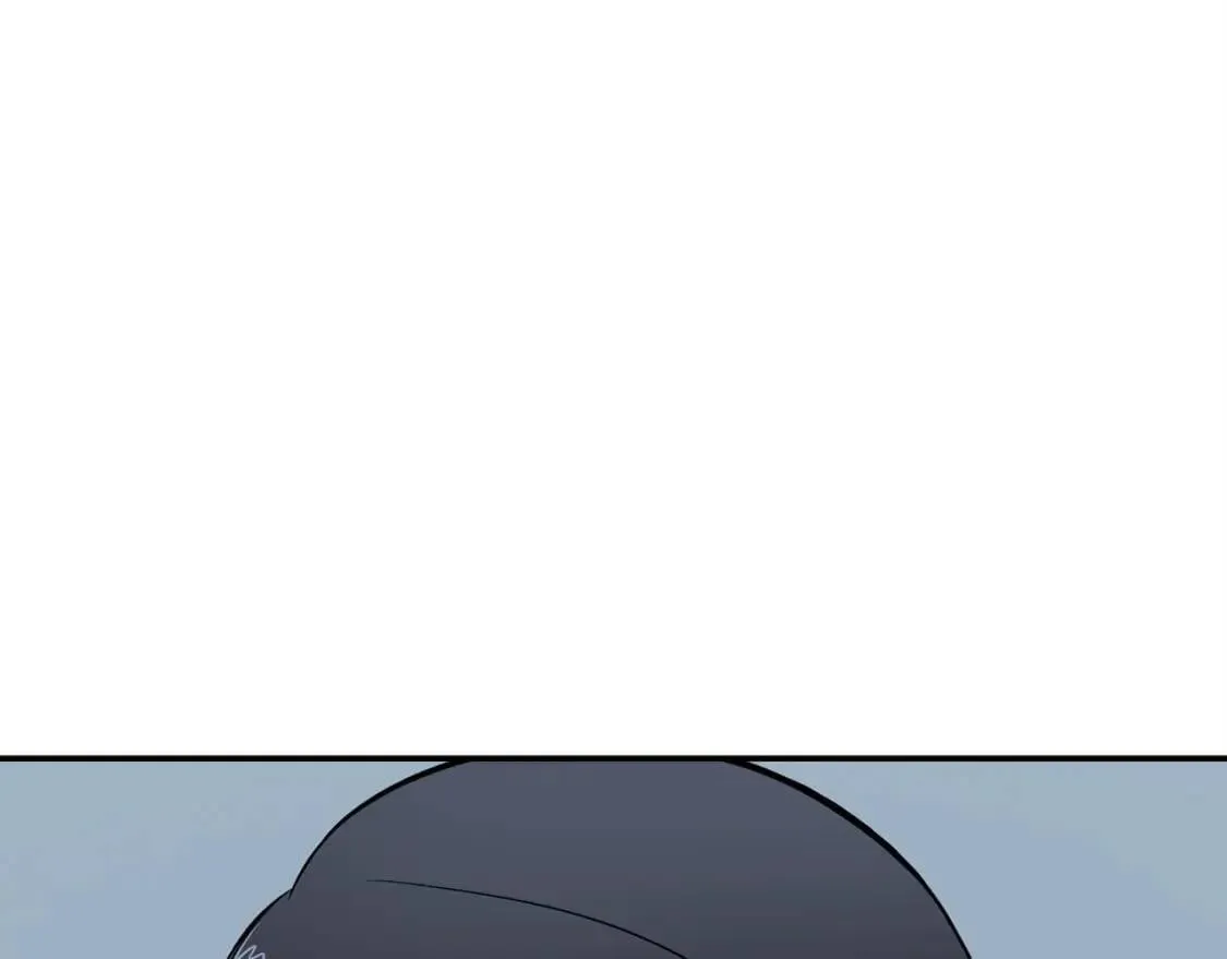 第537页