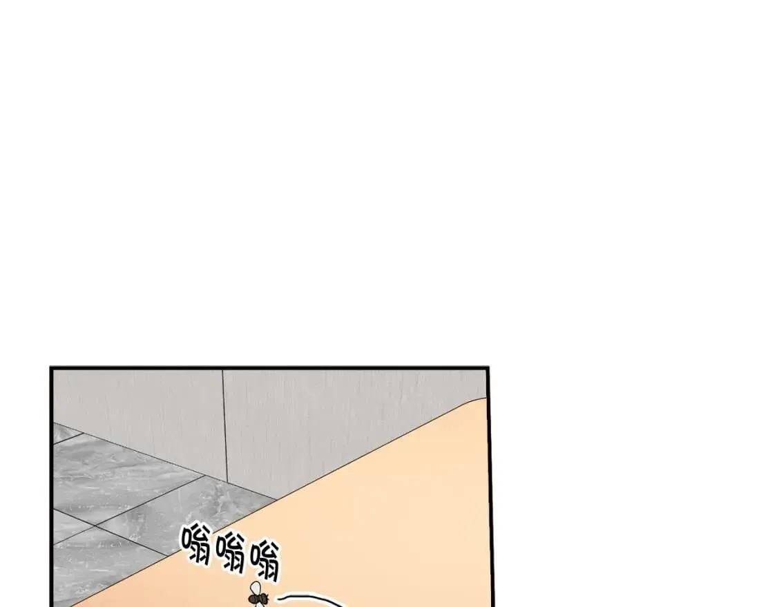 第240页