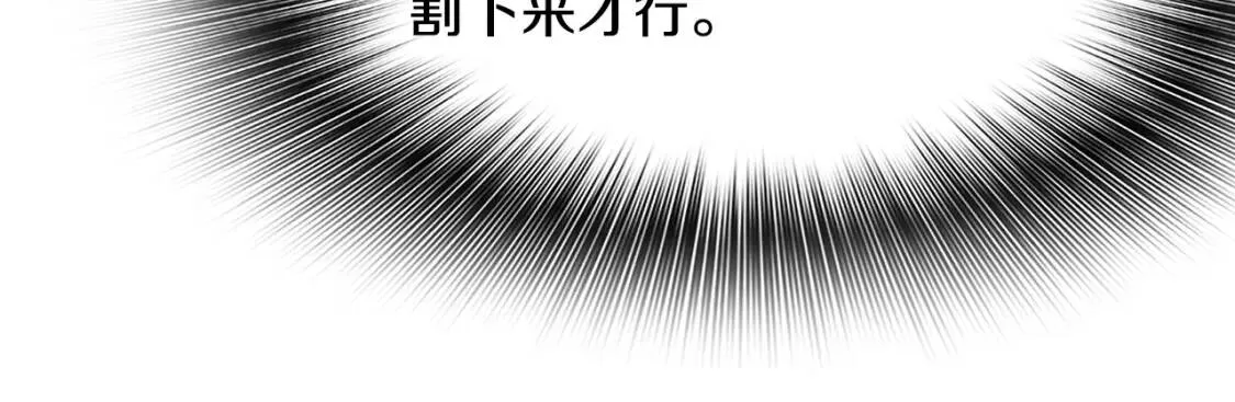 第246页