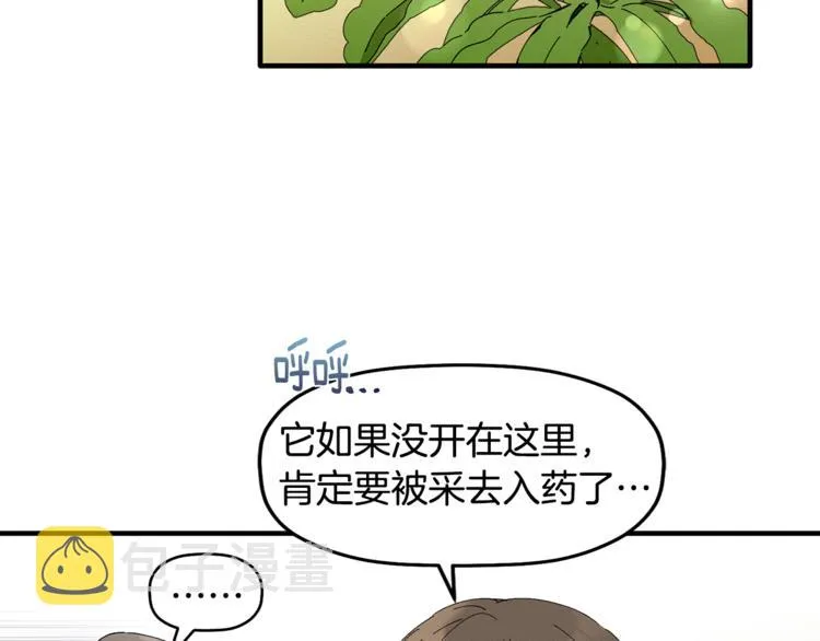 第246页