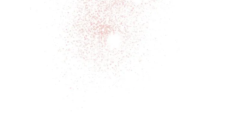第240页