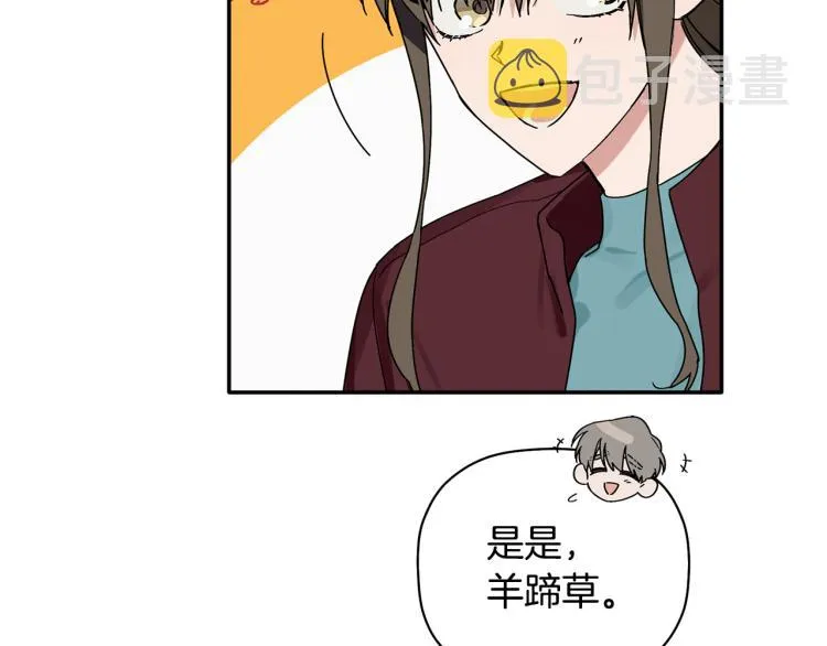 第255页