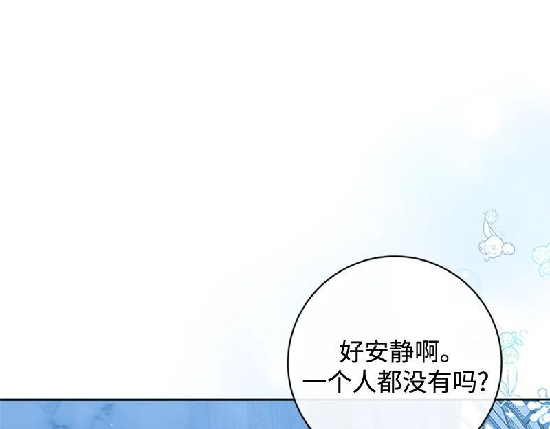 第504页