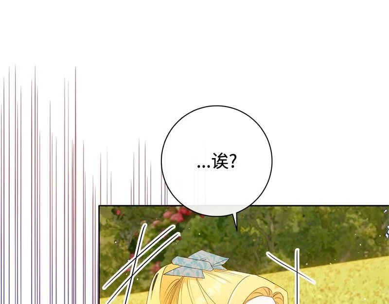 第384页