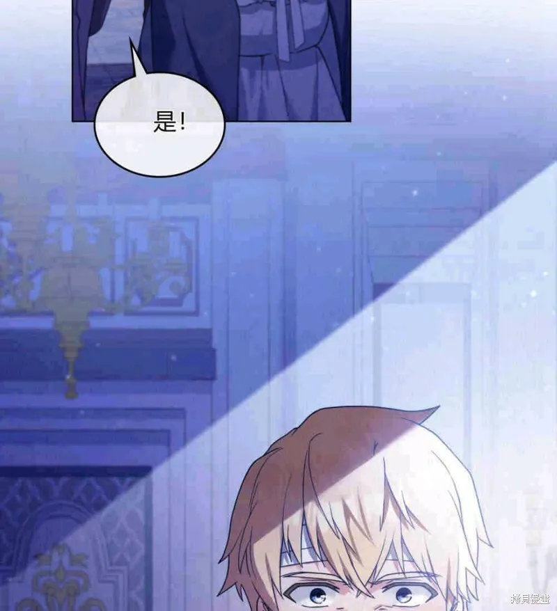 第204页