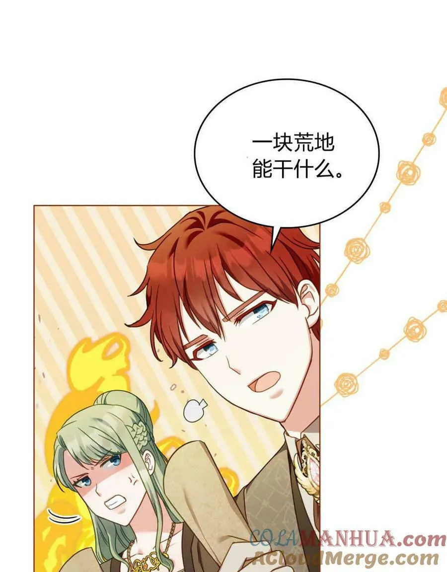 第204页