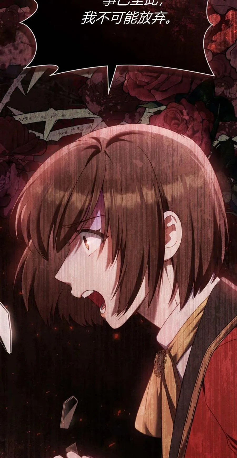 第219页