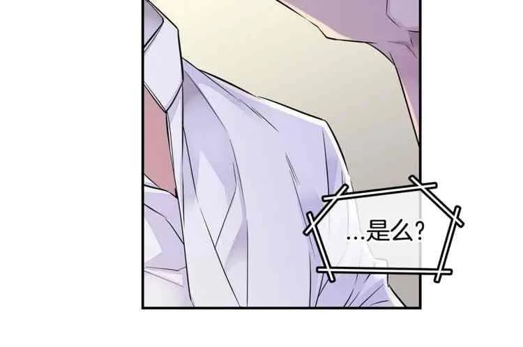 第333页