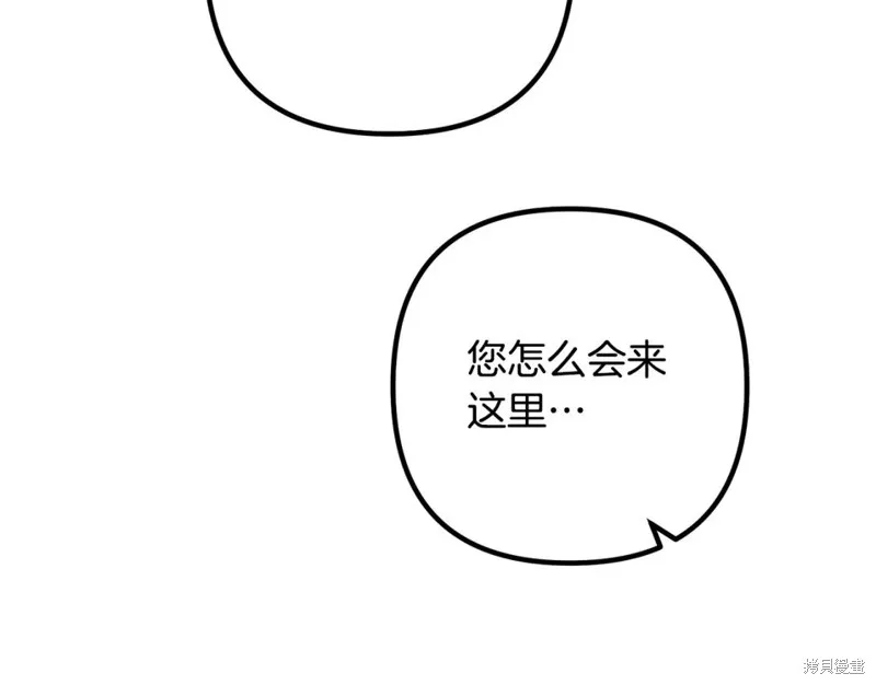 第240页