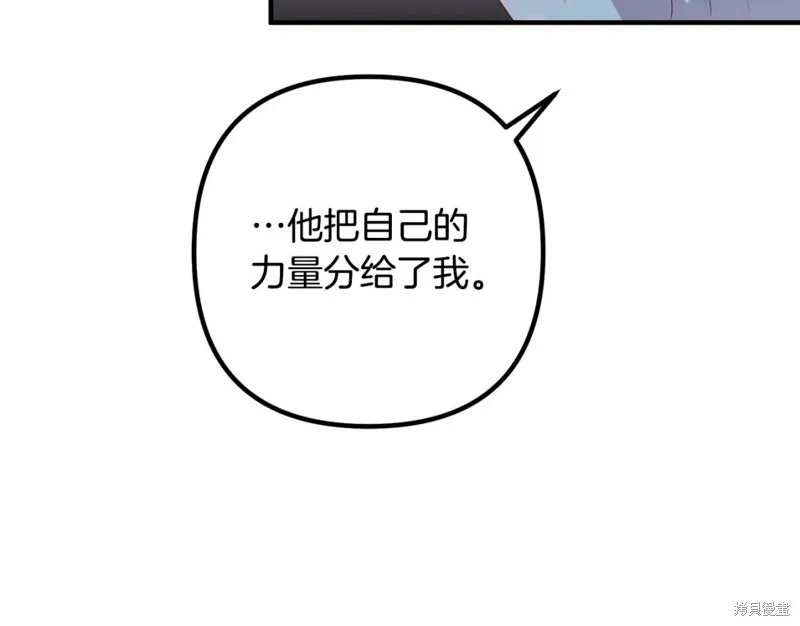 第333页