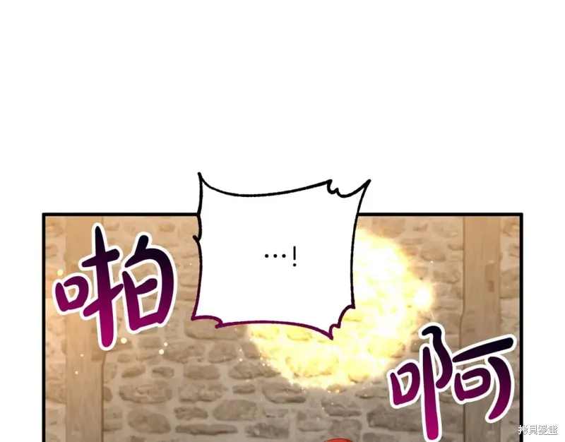 第351页