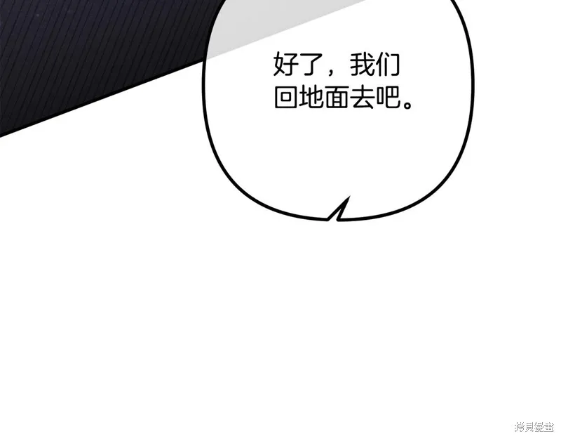 第216页
