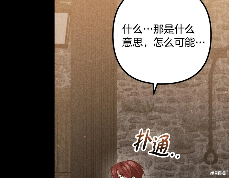 第219页
