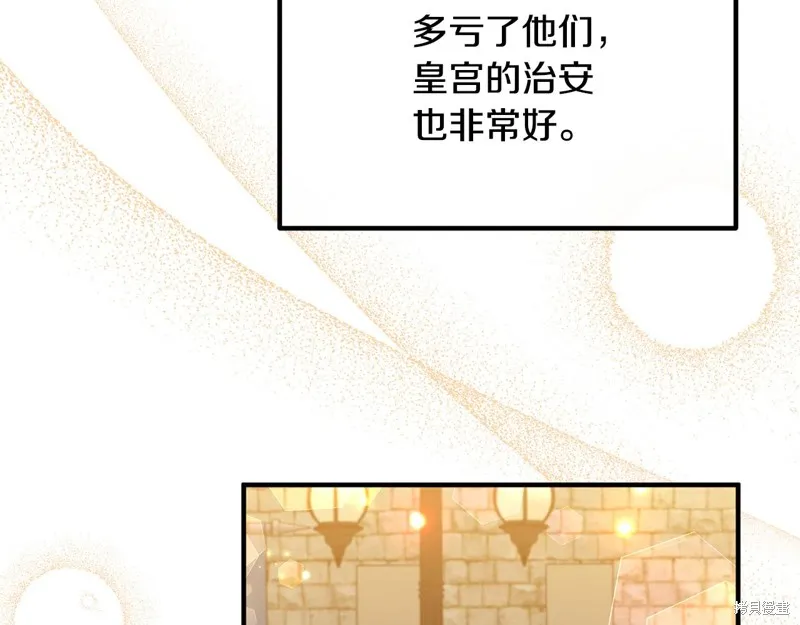 第231页