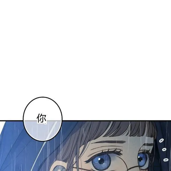 第333页