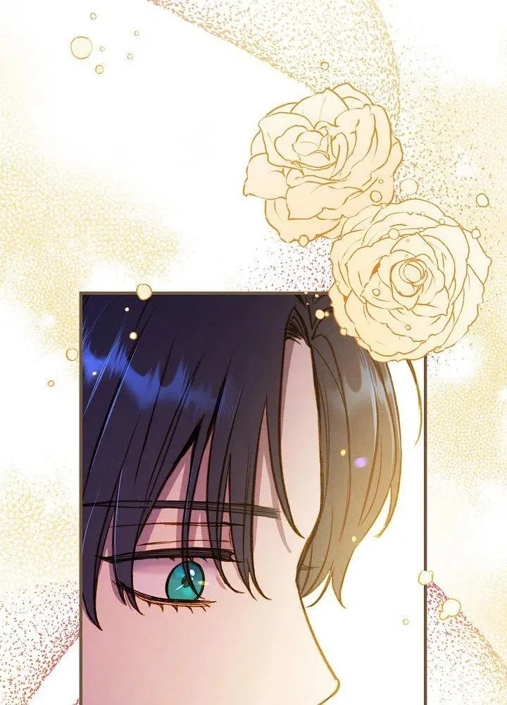 第255页