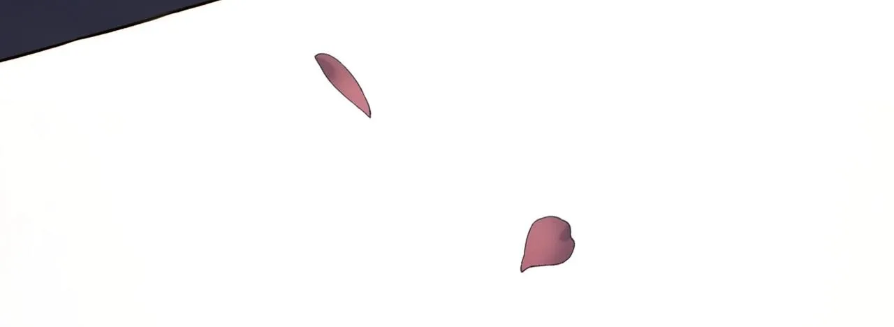 第456页