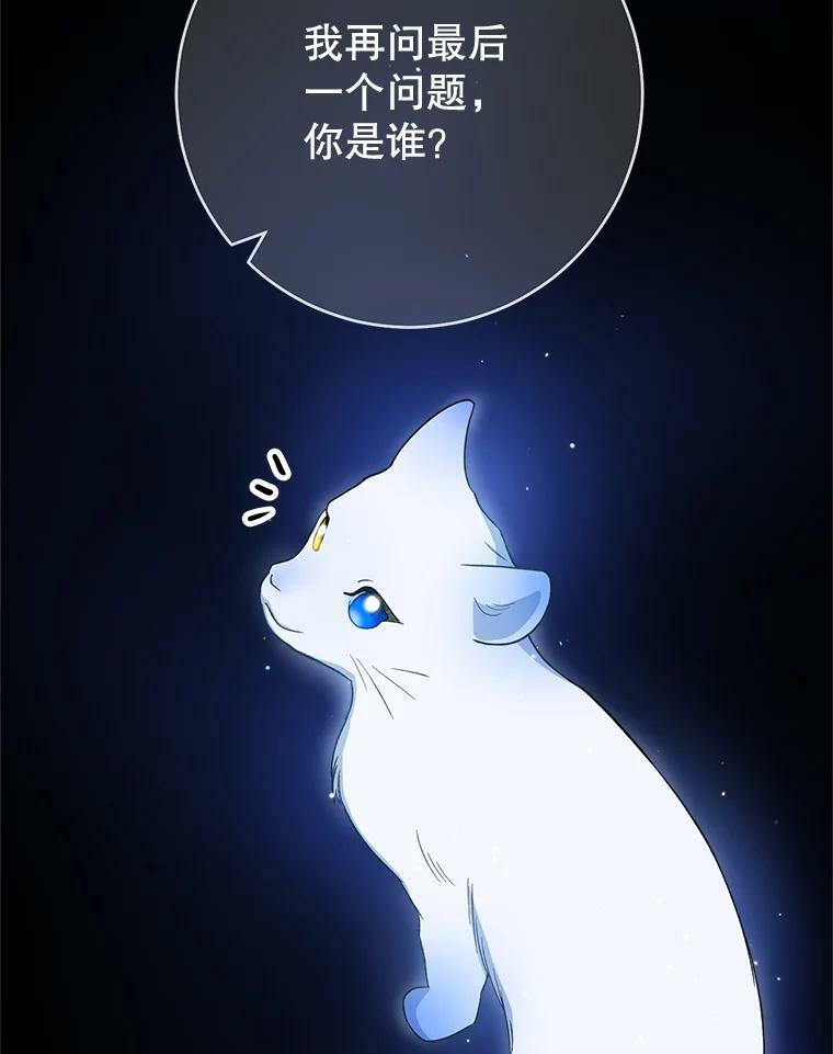第282页