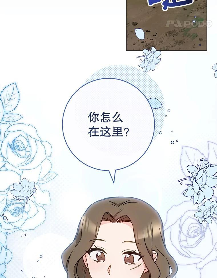 第258页