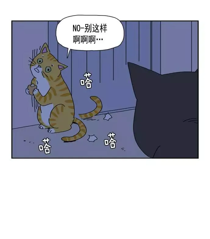 第210页
