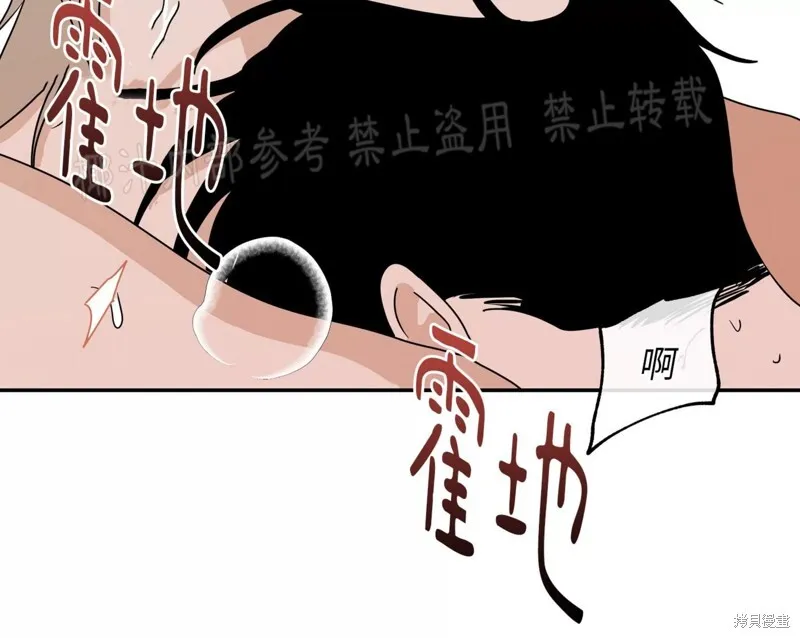 第276页