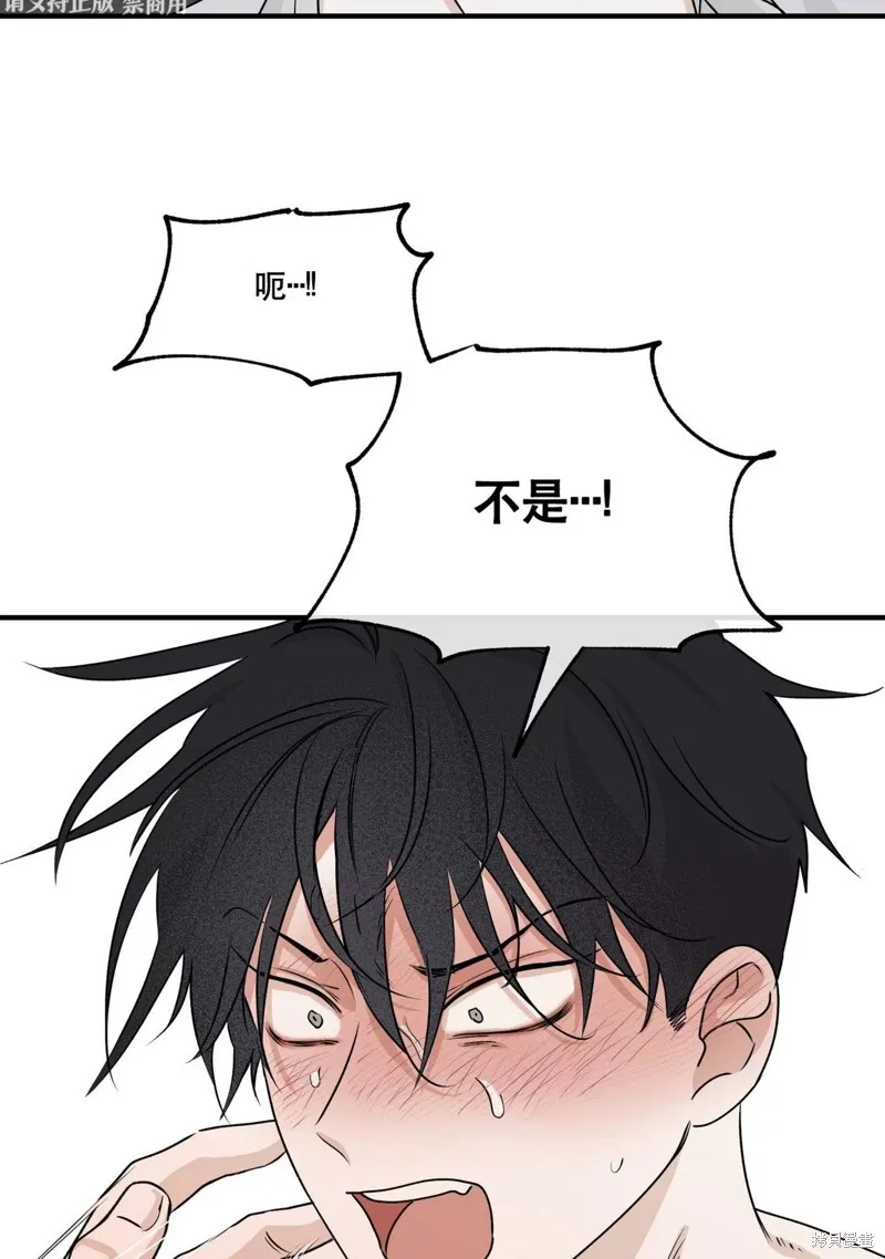 第207页