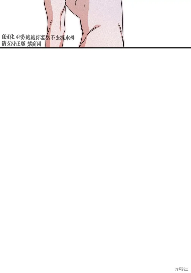 第237页