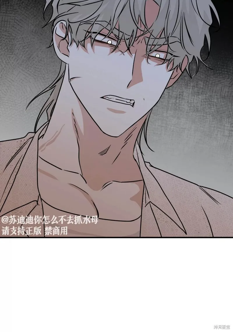 第252页