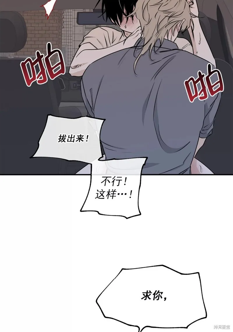 第207页