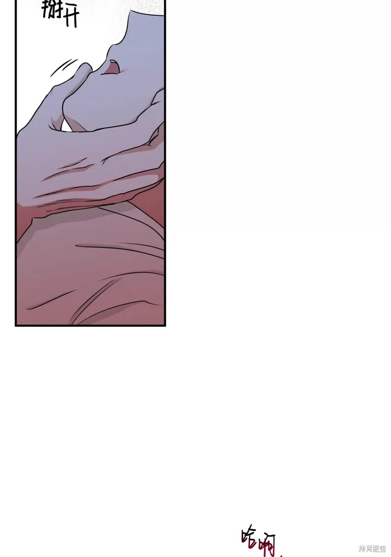 第231页
