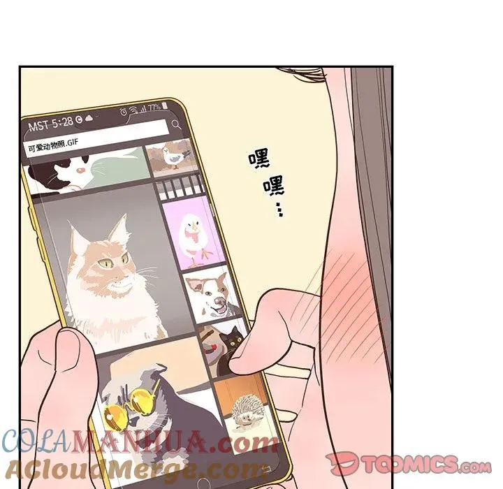 第243页