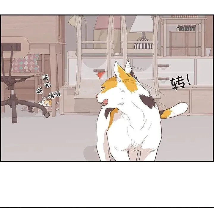 第213页