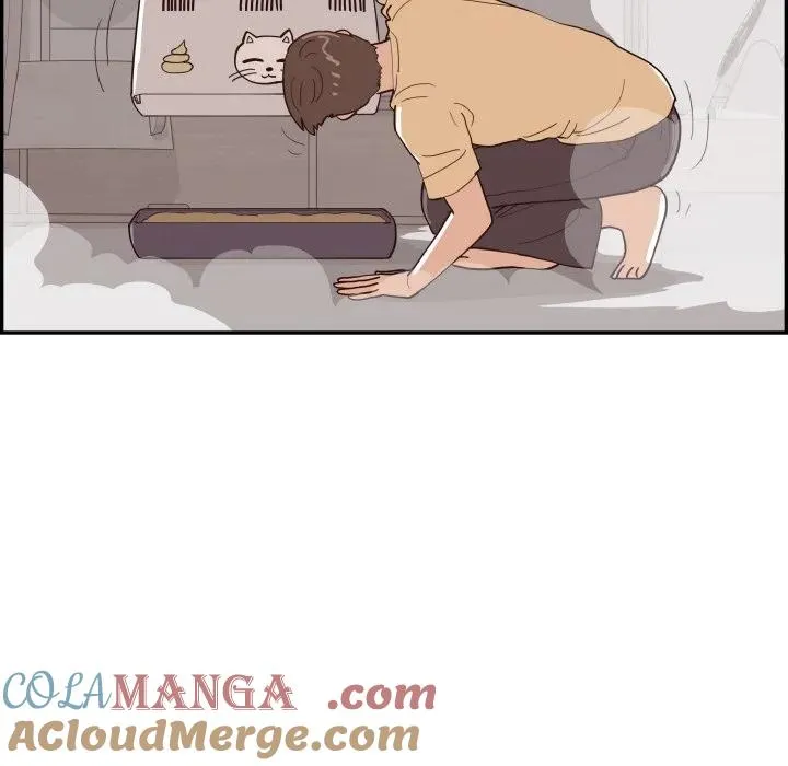 第228页