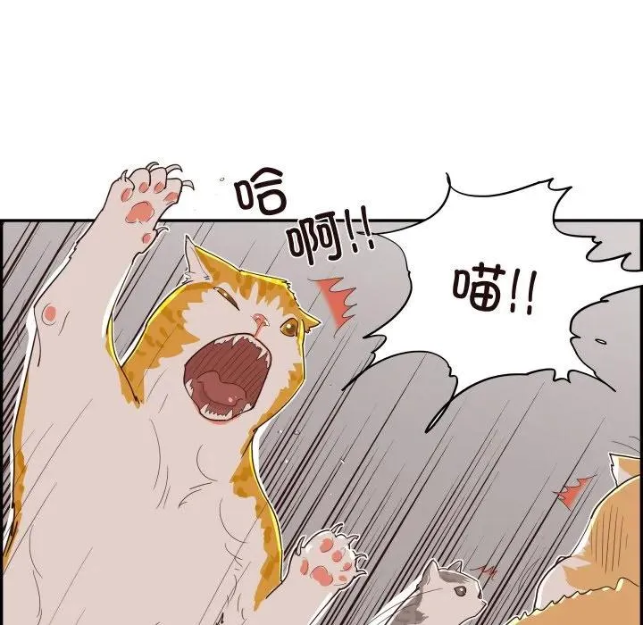 第270页