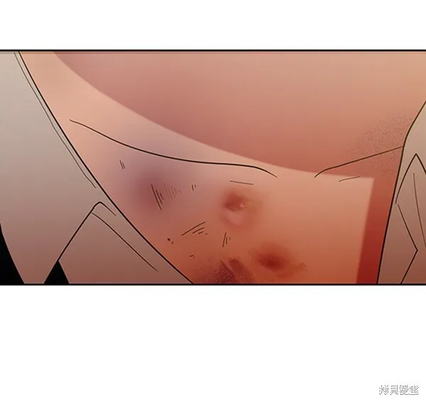 第255页