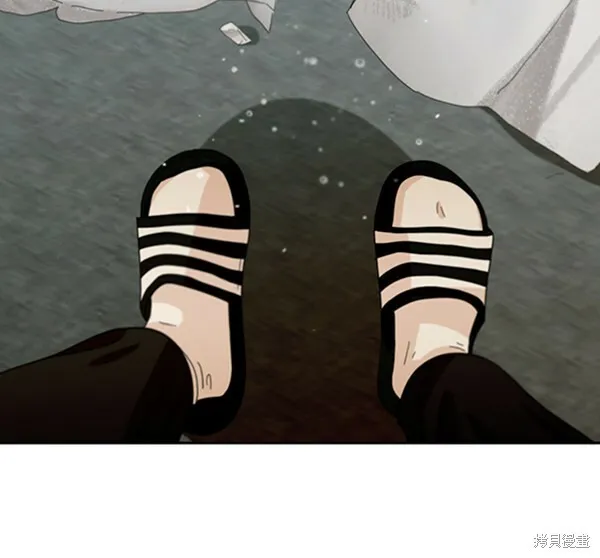 第333页