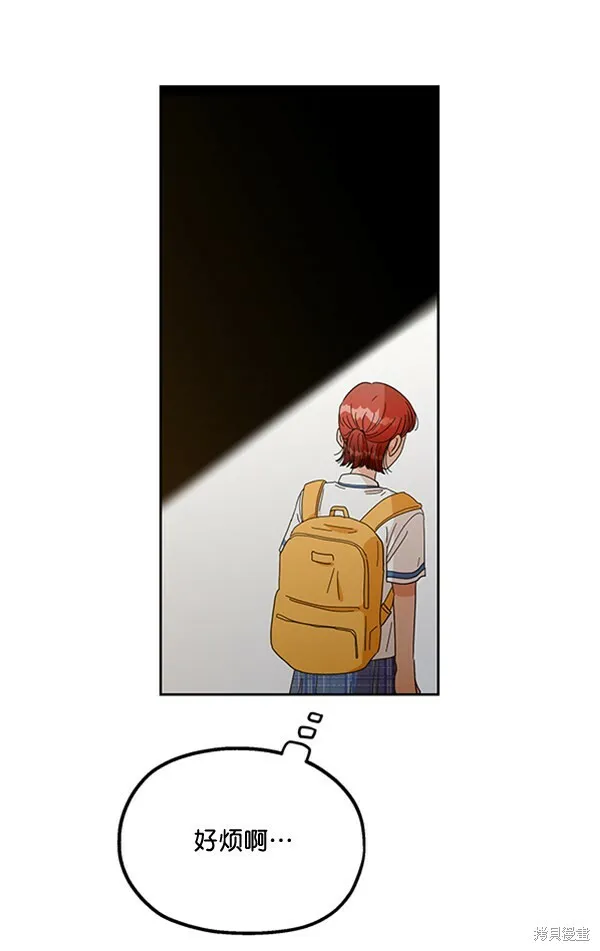 第204页