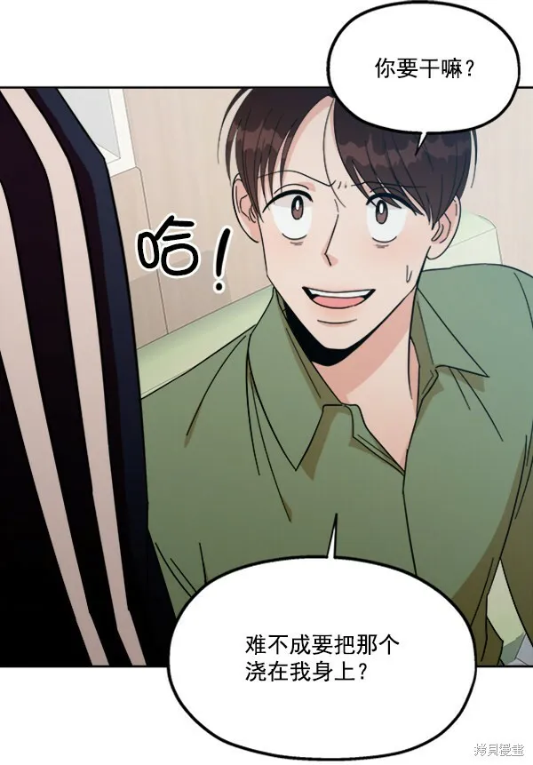 第204页