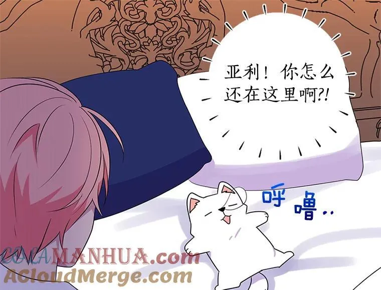 第228页