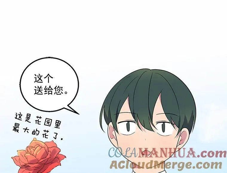 第204页