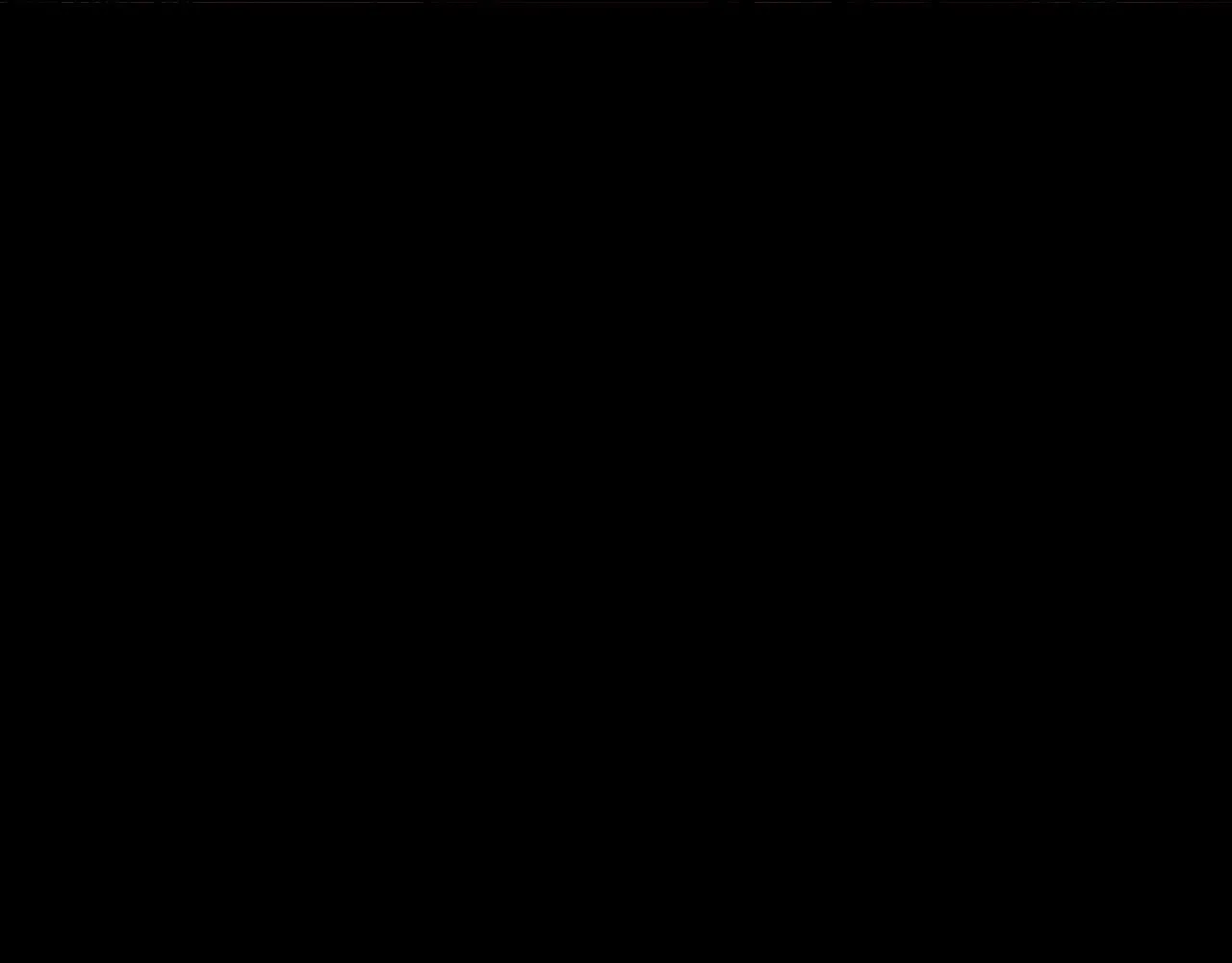 第339页