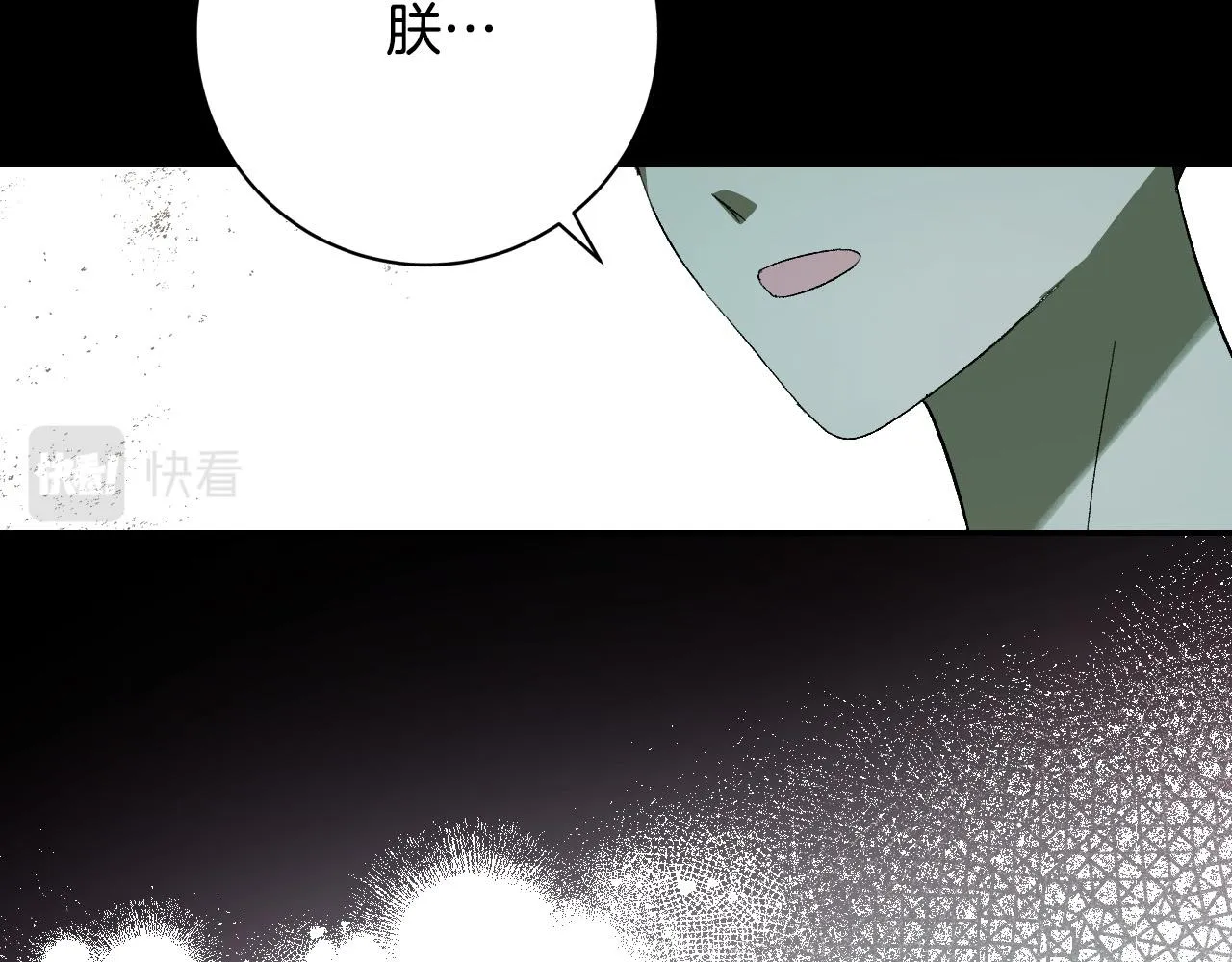 第258页