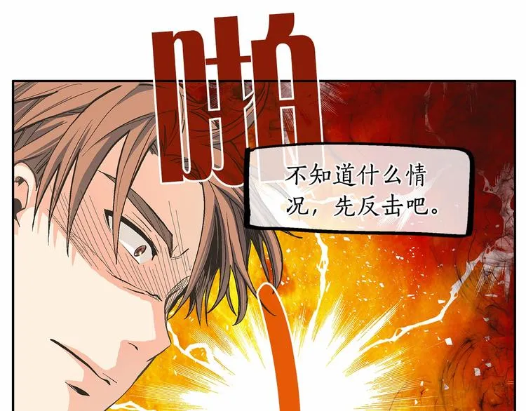 第333页