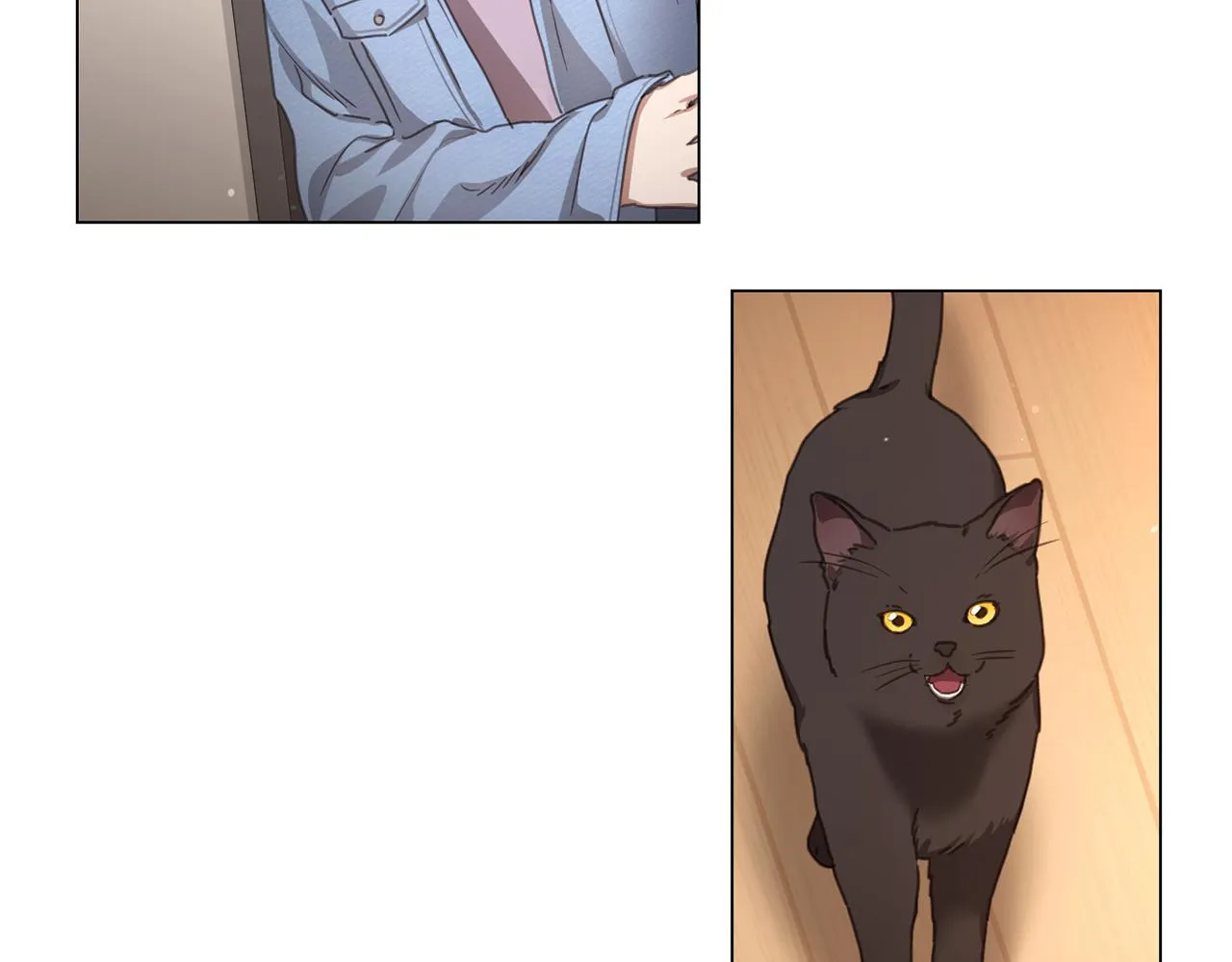 第204页