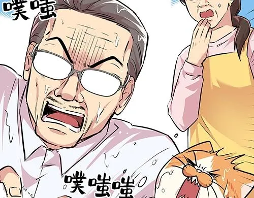 第252页
