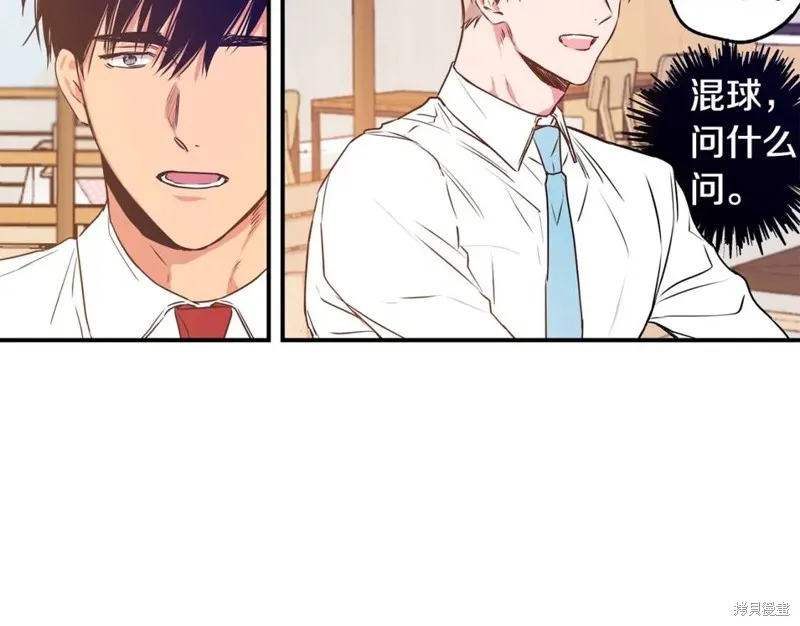 第204页